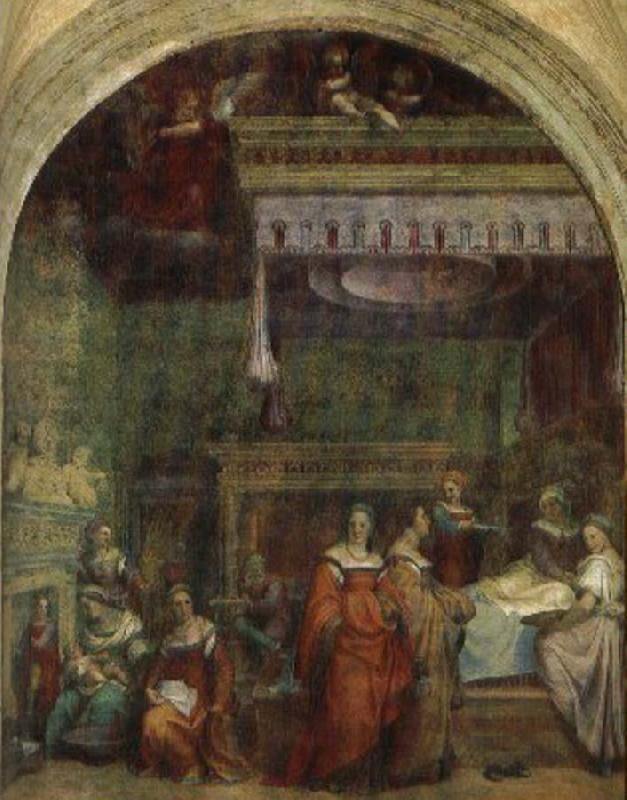 Andrea del Sarto Virgin birth oil painting image